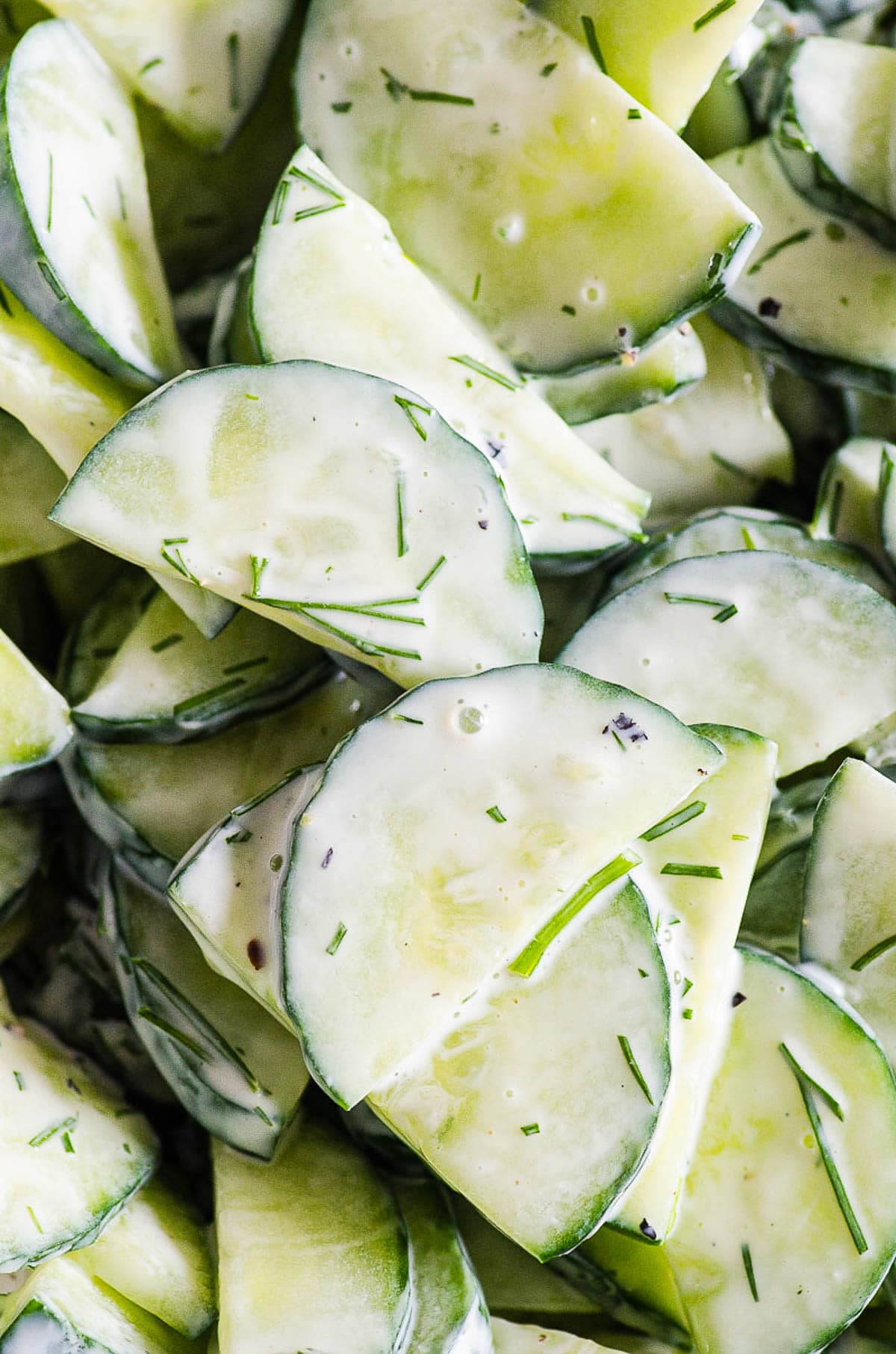 Close up off cucumber salad with yogurt and dill.