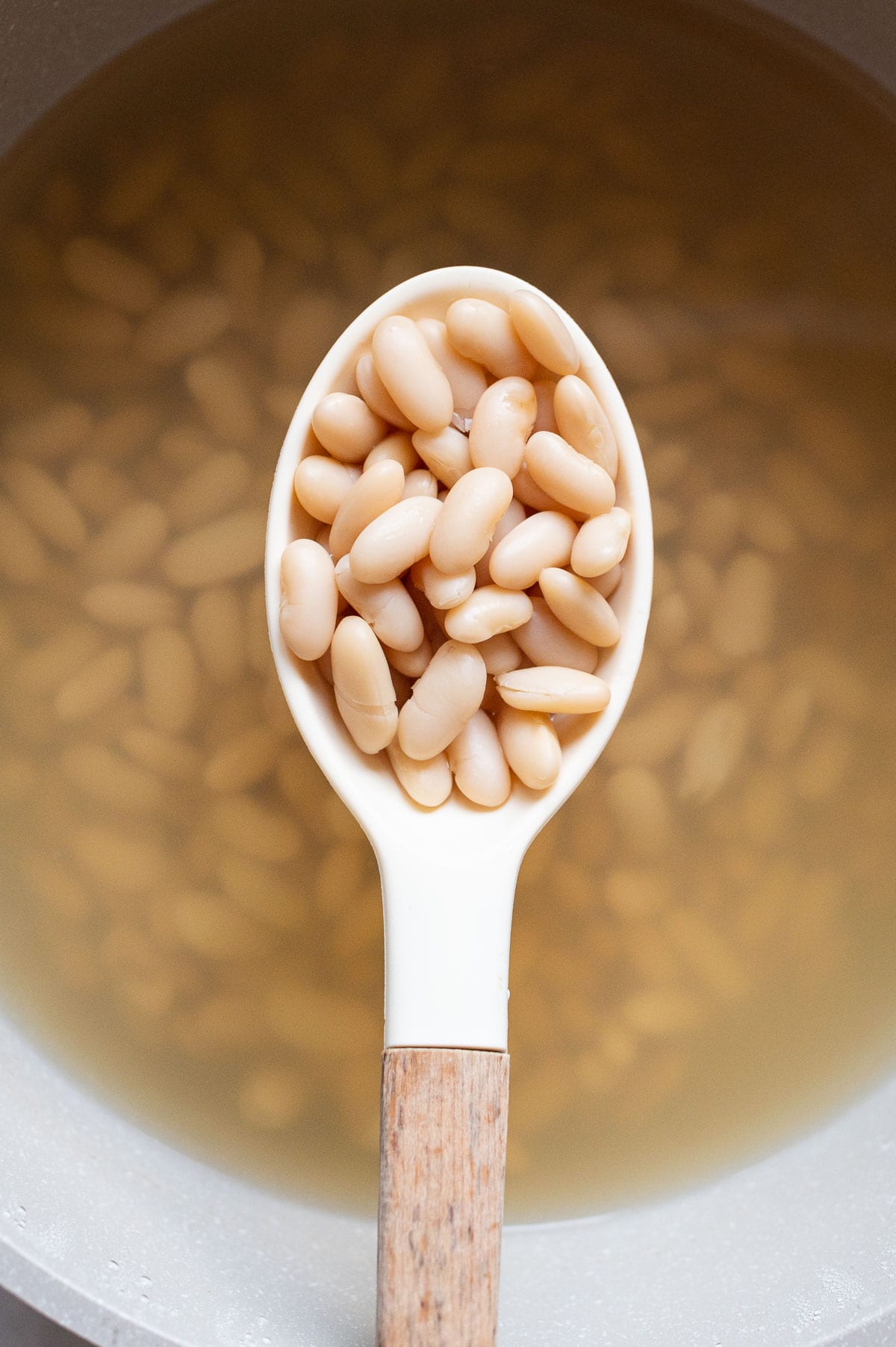 Cooked cannellini beans on a spoon above the pot with beans in a broth.
